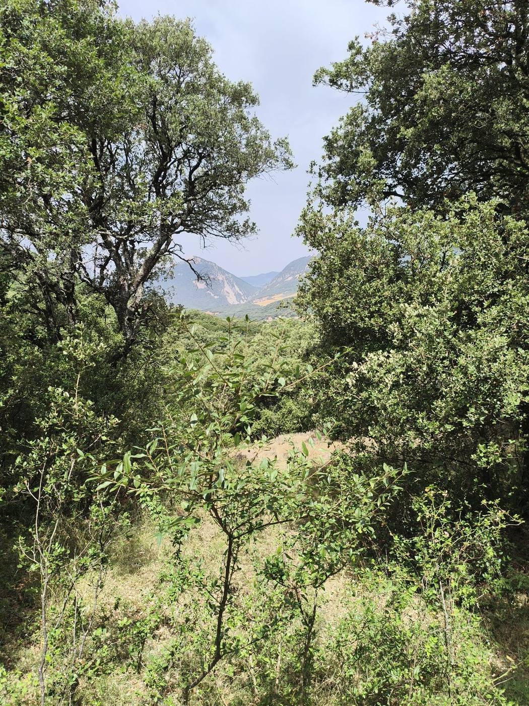 Alto de la Cruz の小径から望む山なみ
