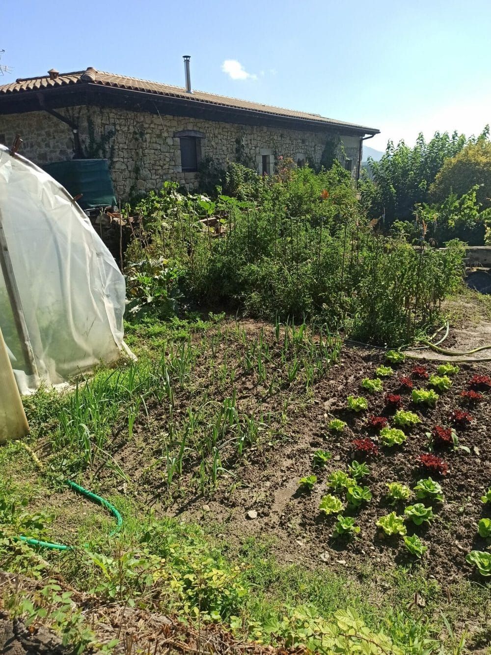 Huerta de temporada de la casa rural TTipiaenea en Ariz, Navarra