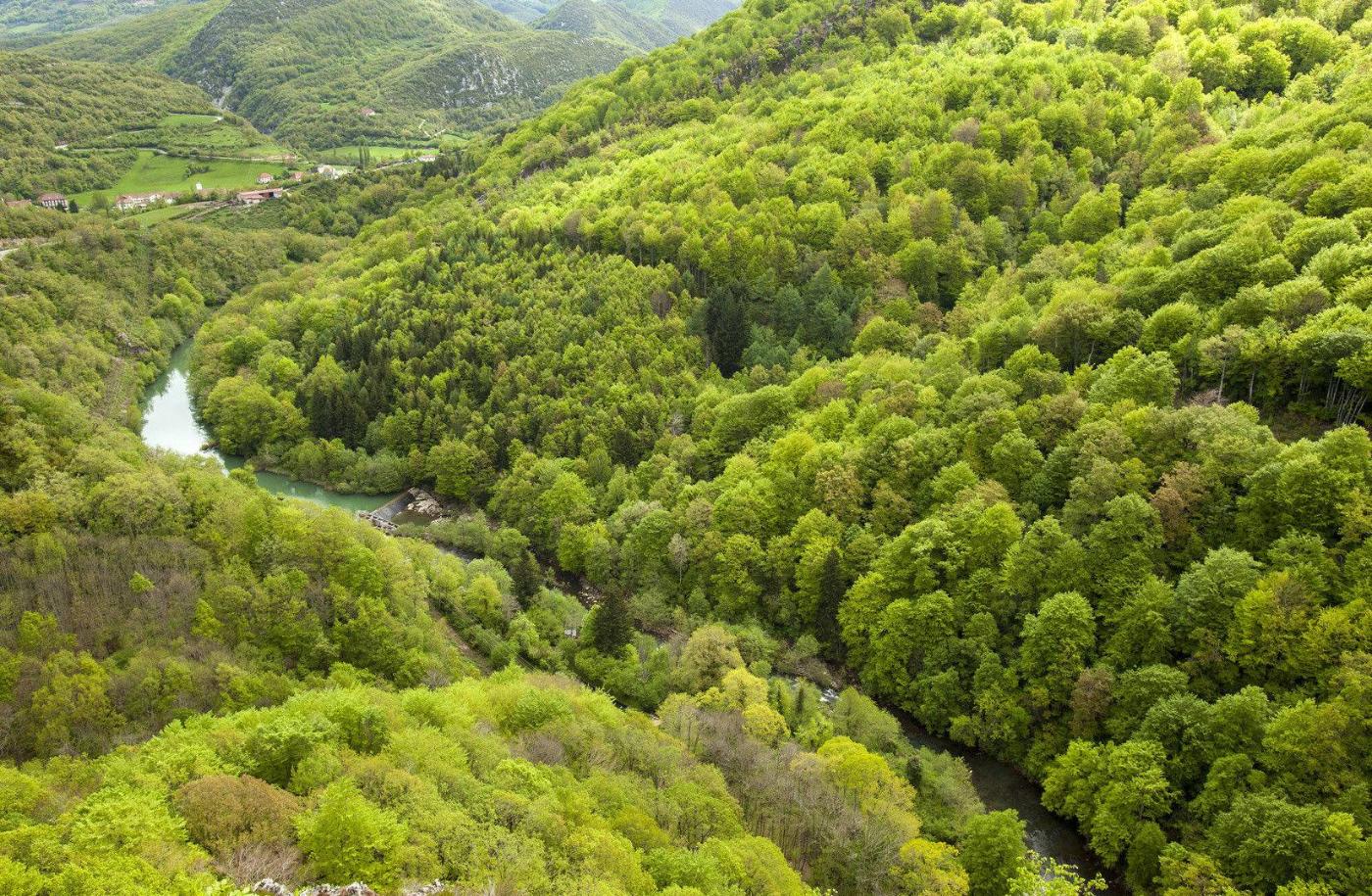 Río Irati en el corazón de la selva, Navarra