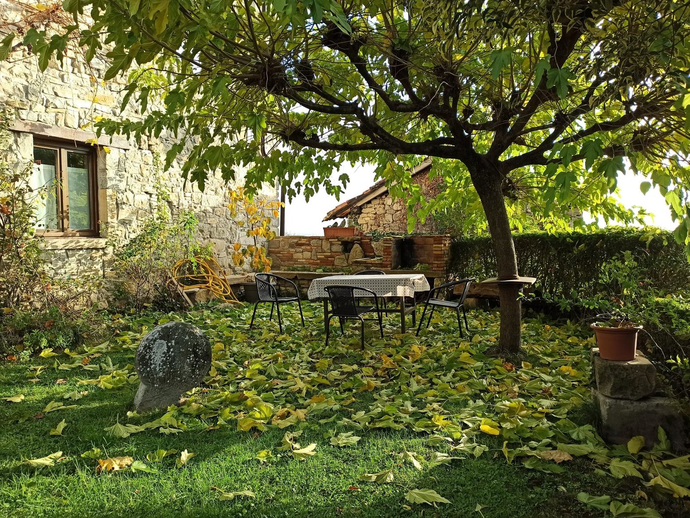 TTipiaenea Landetxea · Jardín
