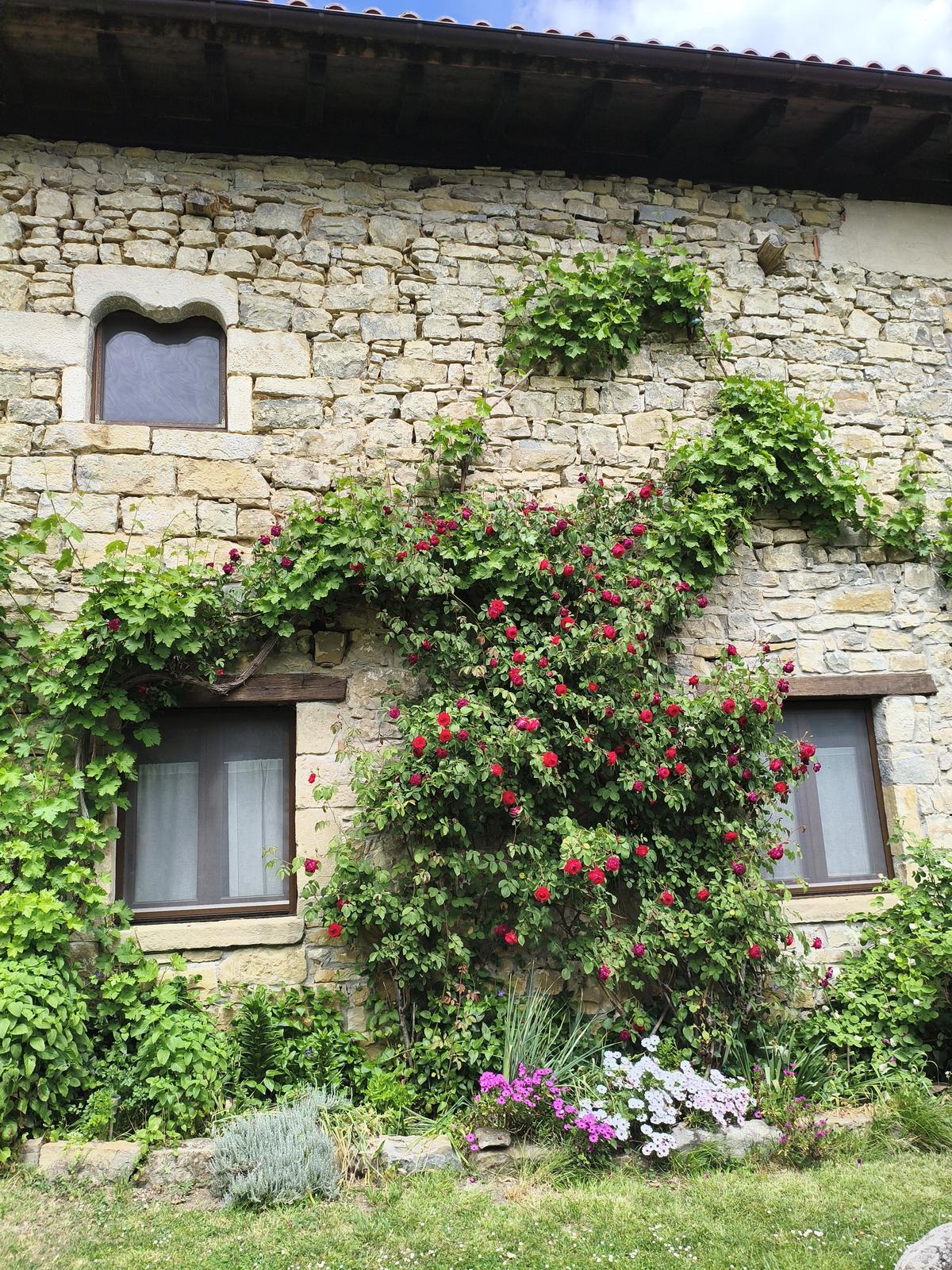 El jardín de la casa rural TTipiaenea cubierto de rosales