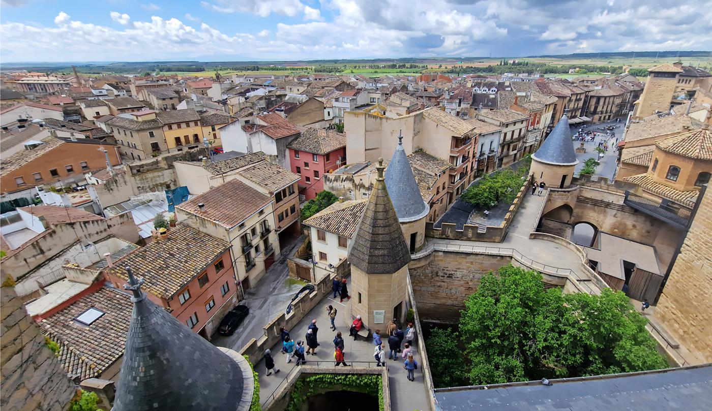 Vista general de Olite con el Palacio Real y los viñedos de la Ribera navarra