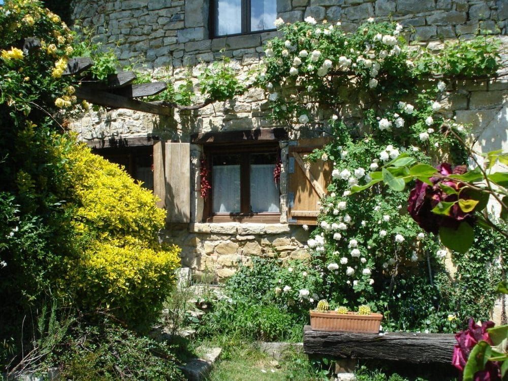 Rosas blancas en el jardín de la casa rural TTipiaenea